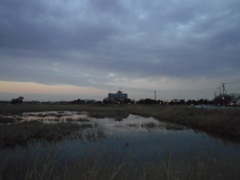 2017/02/25_溜め池の夕暮れ