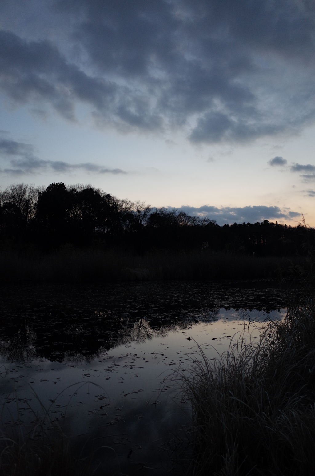 2015/12/31_赤坂沼の夕暮れ
