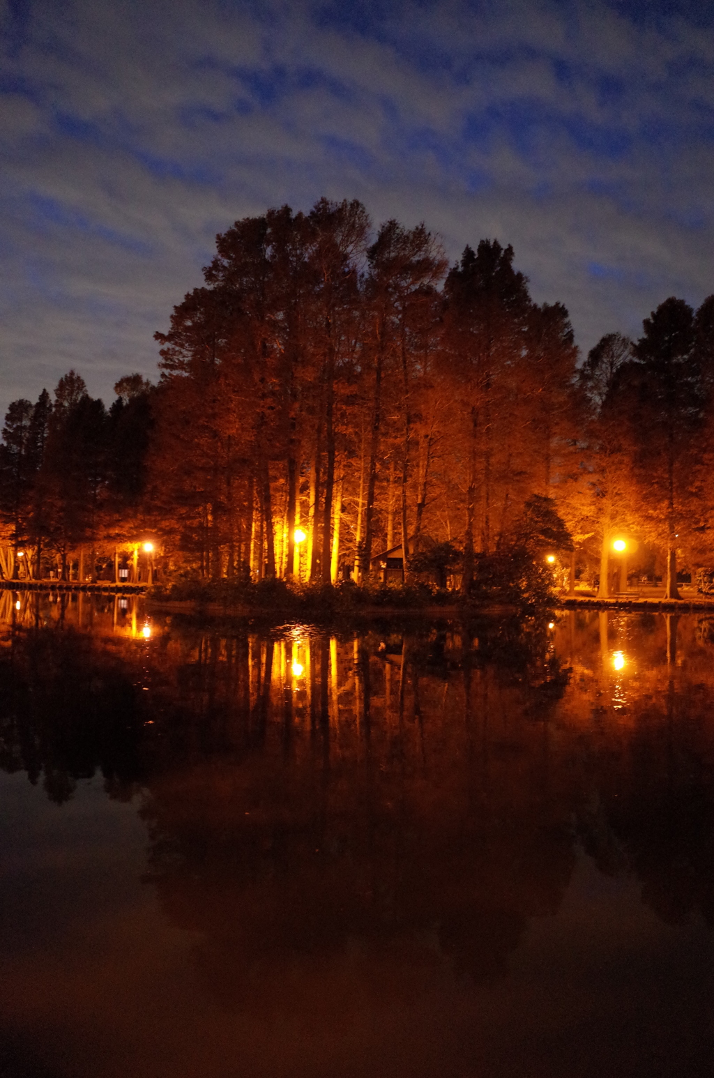 2014/12/07_夕暮れの別所沼公園