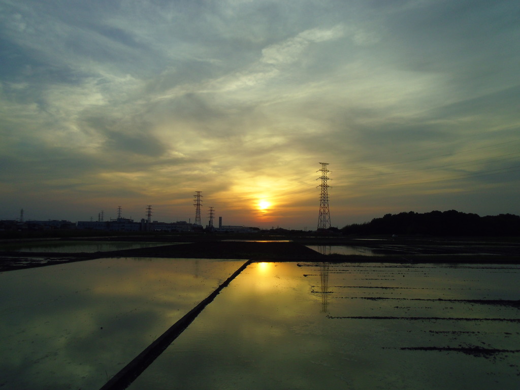 2017/05/21_水田の夕暮れ