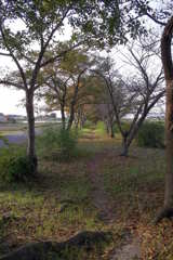 2015/09/23_散歩道