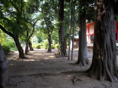 2017/06/11_小室観音堂境内