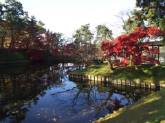2016/11/14_弘前公園 中濠