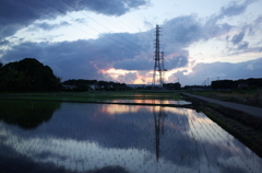 2015/06/06_水田の夕暮れ