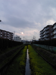 2017/04/09_芝川の夕暮れ菜の花