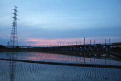 2016/06/11_水田の夕暮れ