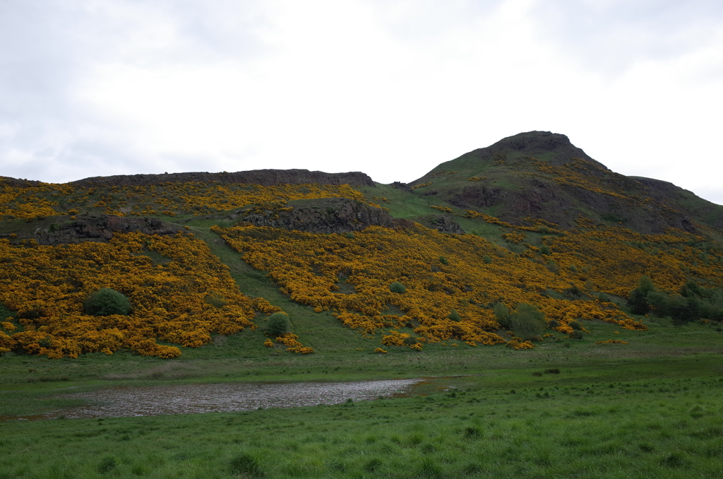 2016/05/20_アーサーズ・シートとハンターズ・ボグ