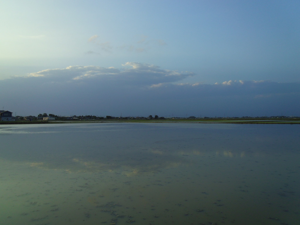 2017/06/11_水田に雲