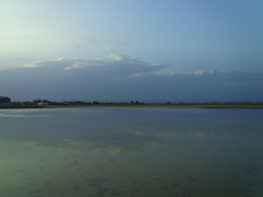 2017/06/11_水田に雲