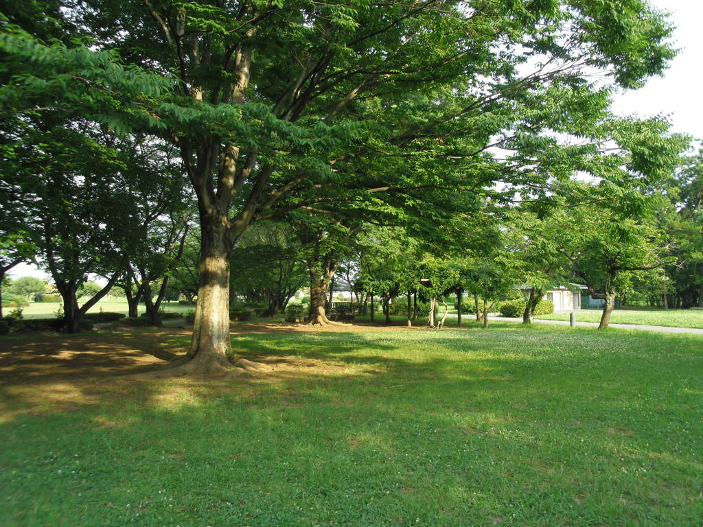 2017/07/09_さきたま古墳公園