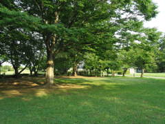 2017/07/09_さきたま古墳公園