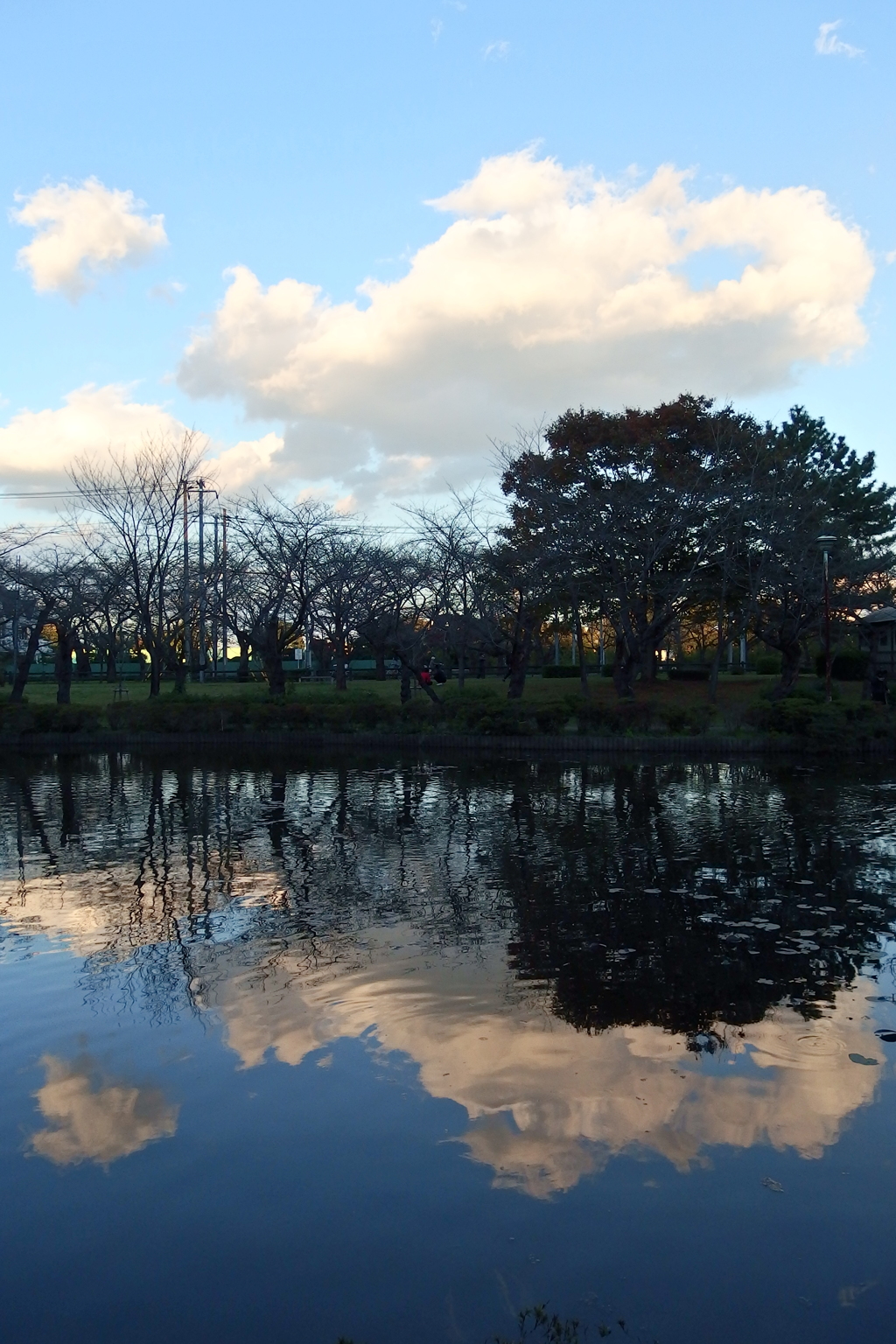 2015/11/03_岩槻城址公園