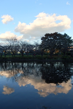 2015/11/03_岩槻城址公園