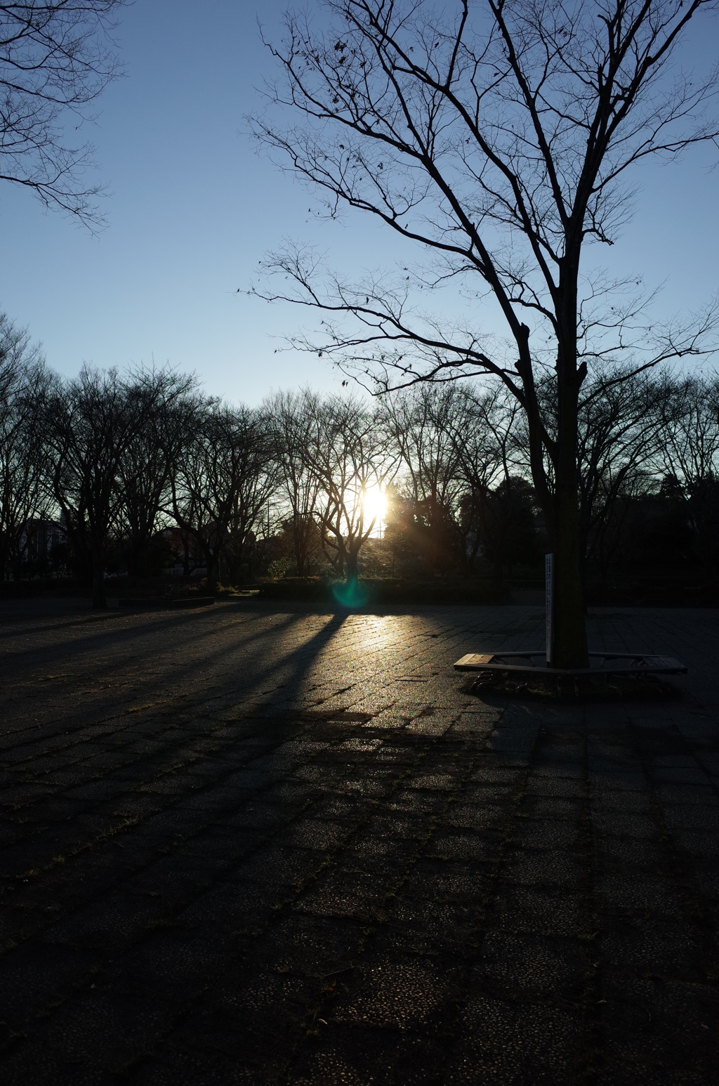 2015/12/19_城山公園の夕暮れ