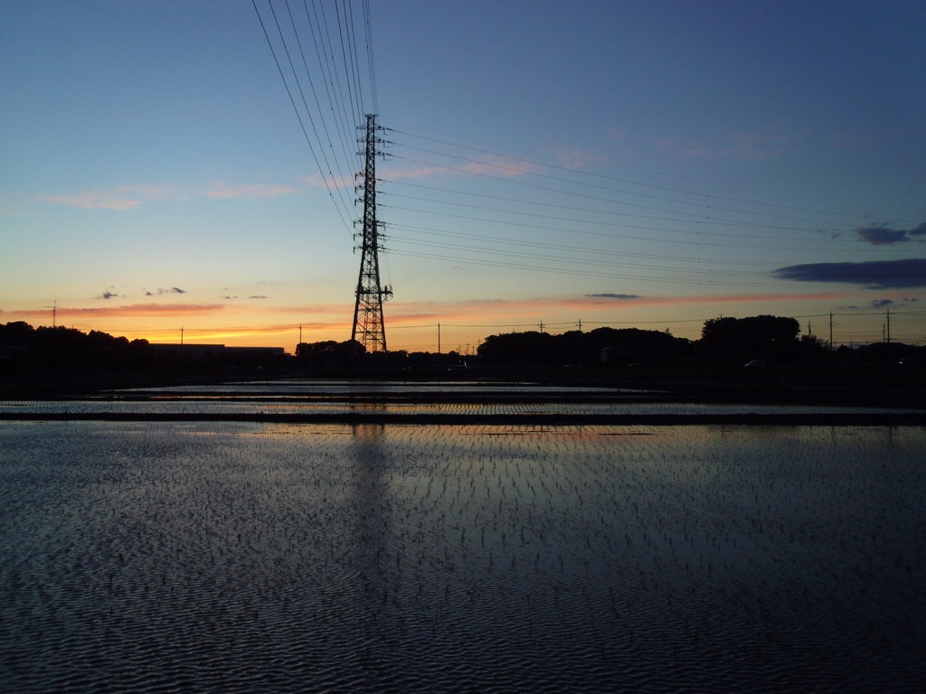 2017/06/03_水田の夕暮れ