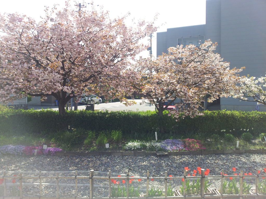 2018/04/21_富山地鉄からの車窓風景