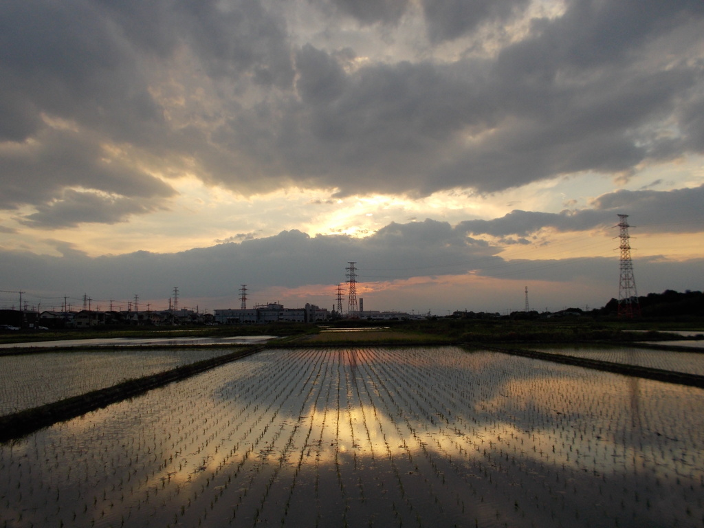 2017/06/10_水田の夕暮れ