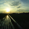 2017/07/02_水田の夕暮れ