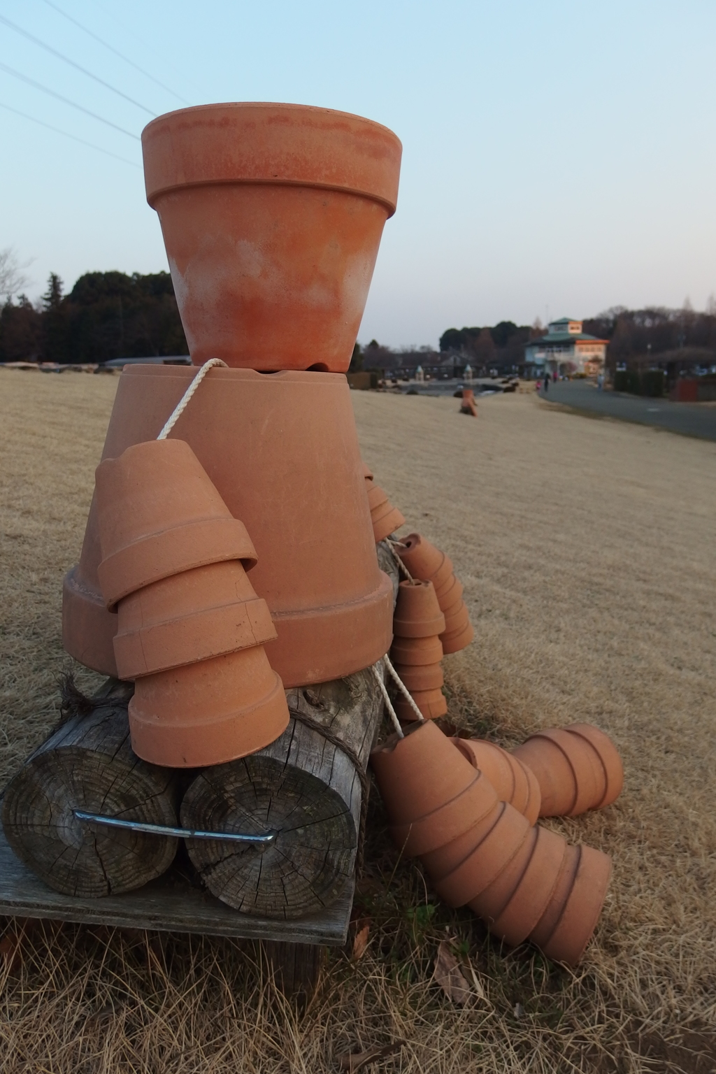 2016/02/27_花の丘農林公苑