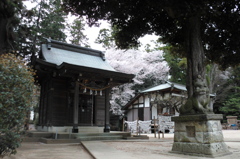 2015/04/04_小室氷川神社の桜
