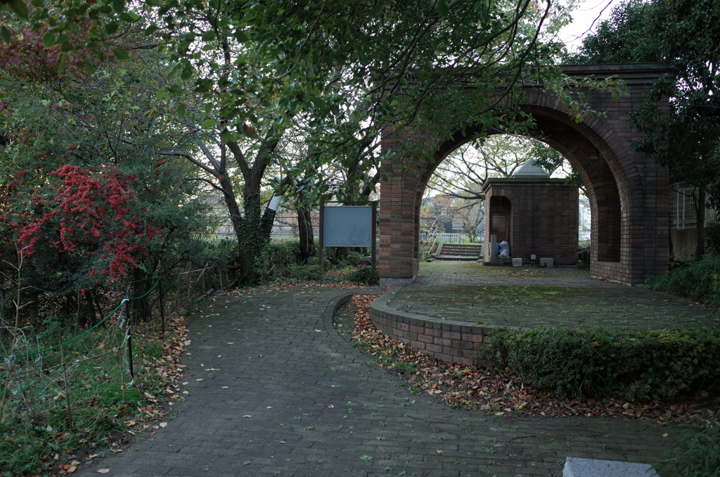 2014/11/15_鴨川みずべの里