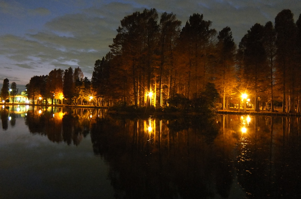 2014/12/07_夕暮れの別所沼公園