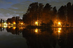 2014/12/07_夕暮れの別所沼公園