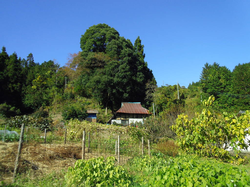 2017/11/12_外秩父の古そうな家