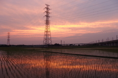 2015/06/14_水田の夕暮れ、天使の梯子