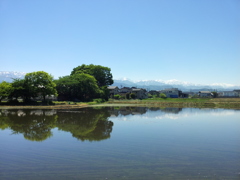2017/05/19_水田に立山連峰