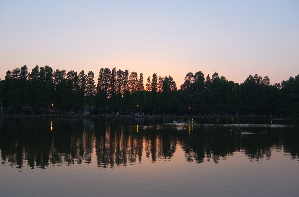2014/05/31_夕暮れの別所沼公園