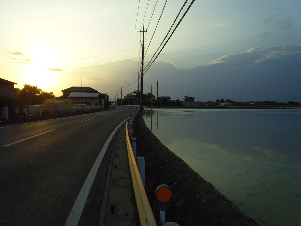 2017/06/11_夕暮れの道と水田に雲