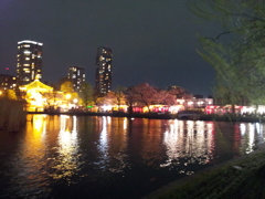 2015/04/03_夜の不忍池