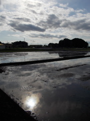 2017/05/14_水田に雲