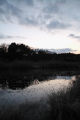 2015/12/31_赤坂沼の夕暮れ