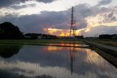 2015/06/06_水田の夕暮れ