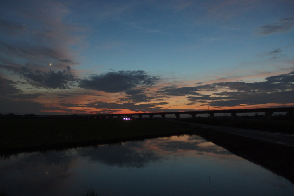 2015/07/19_水田の夕暮れ