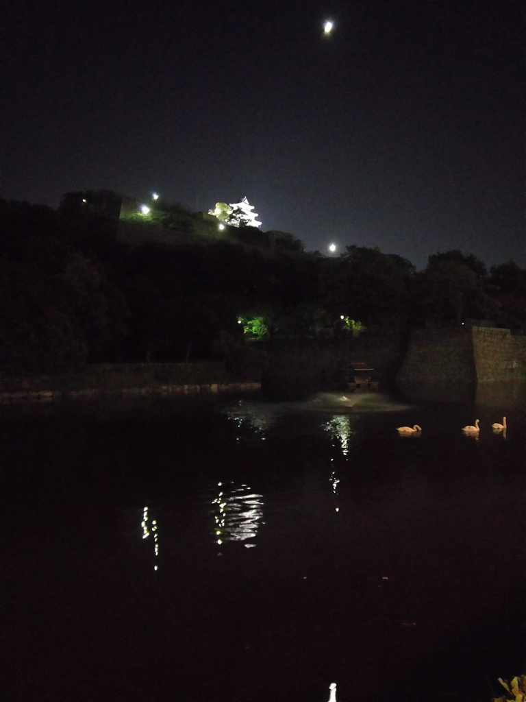 2017/10/26_月夜の丸亀城