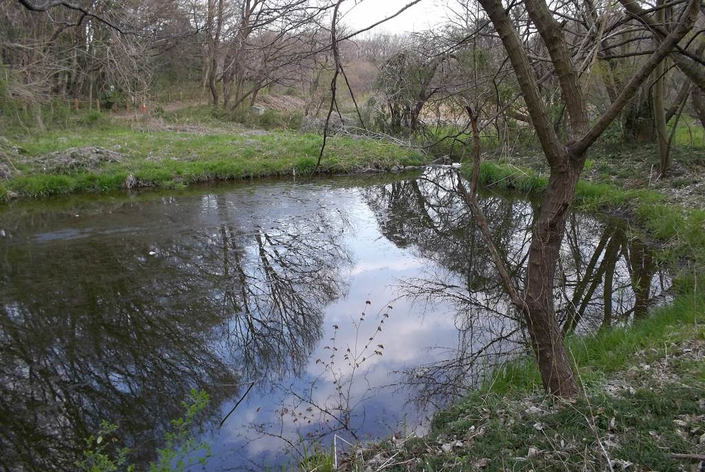 2016/03/26_北本自然観察公園