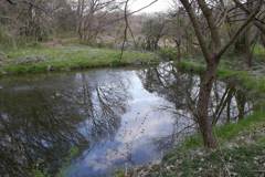 2016/03/26_北本自然観察公園