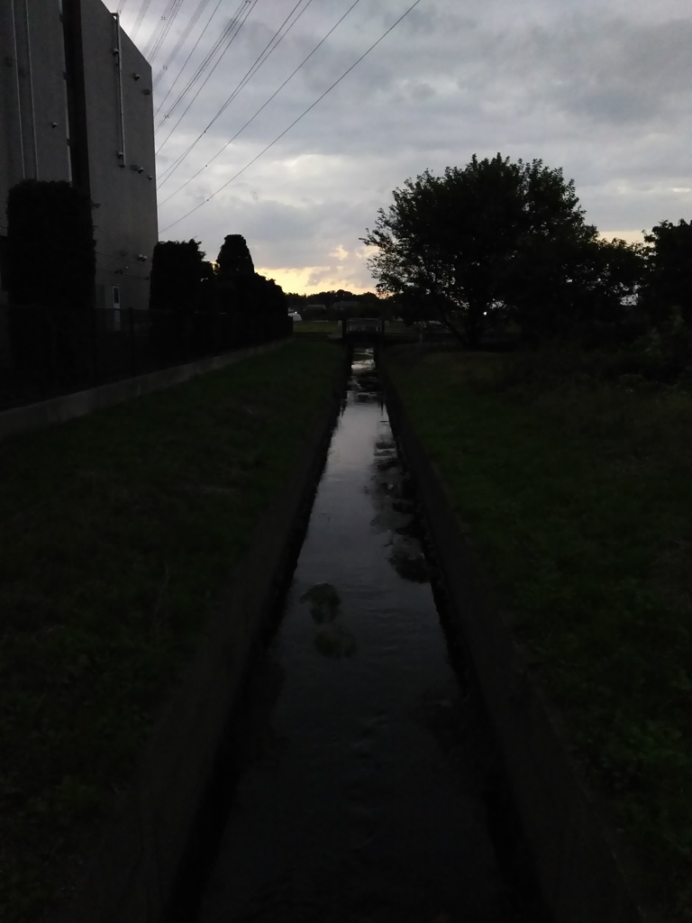 2016/10/23_夕暮れの用水路