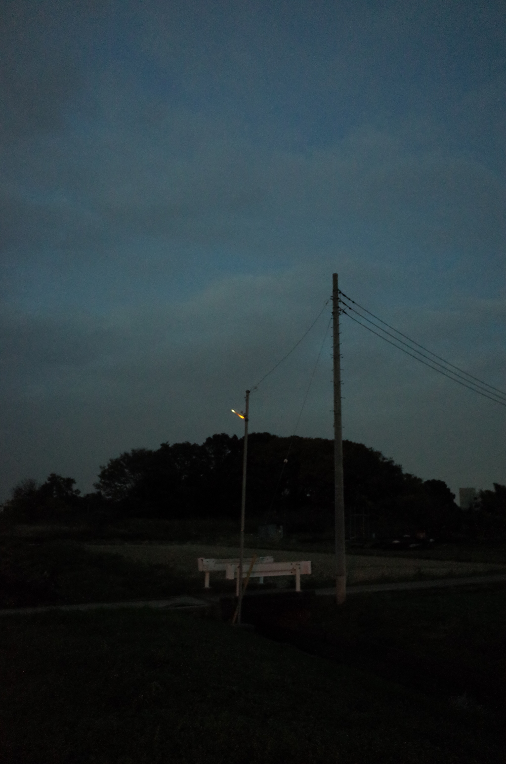 2014/11/30_夕暮れの街灯