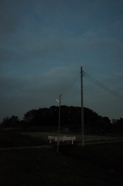 2014/11/30_夕暮れの街灯