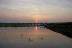2015/07/12_水田の夕暮れ