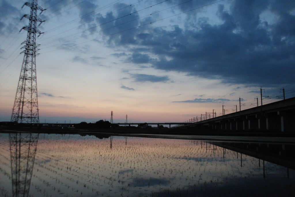 2016/06/05_水田の夕暮れ