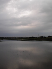 2017/05/27_水田の曇天