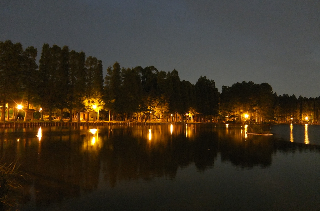 2014/05/24_夜の別所沼公園