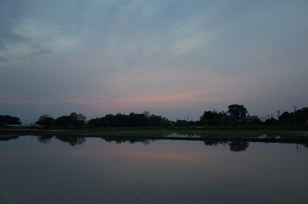 2016/05/01_水田の夕暮れ