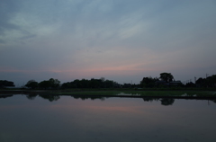 2016/05/01_水田の夕暮れ