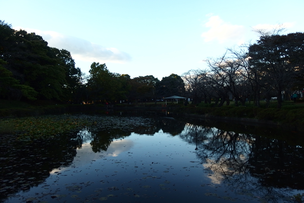 2015/11/03_岩槻城址公園